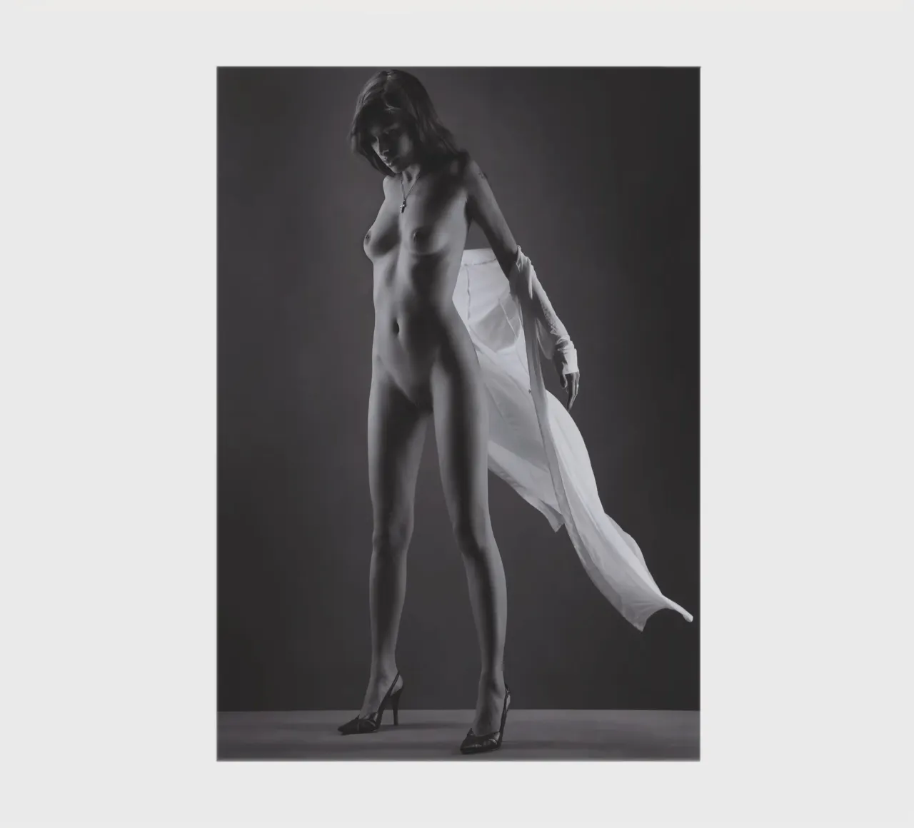 Skye in flight Notizbuch von Dave Hare Photography