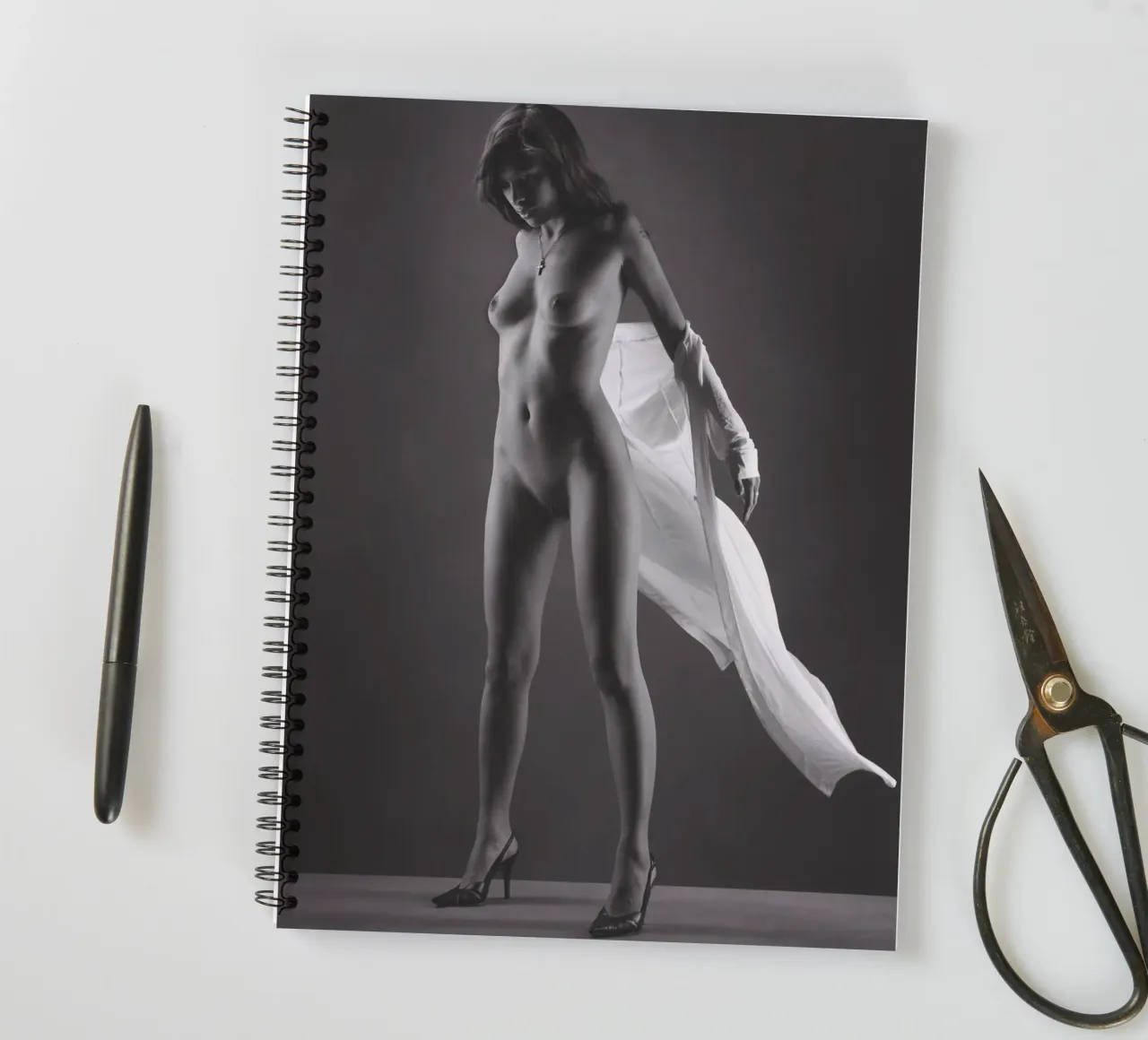 Skye in flight spiral notebook by Dave Hare Photography