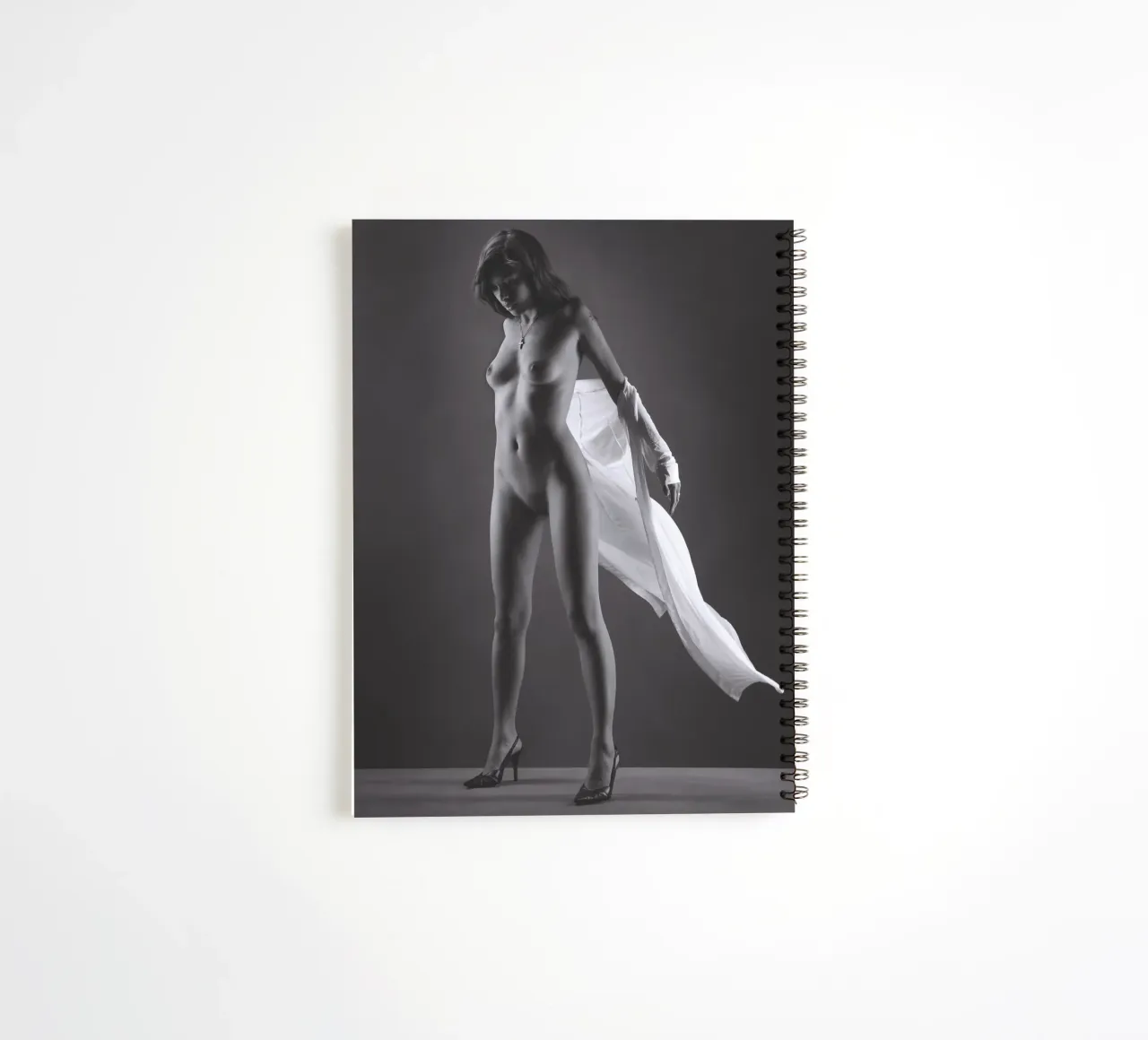 Skye in flight spiral notebook by Dave Hare Photography