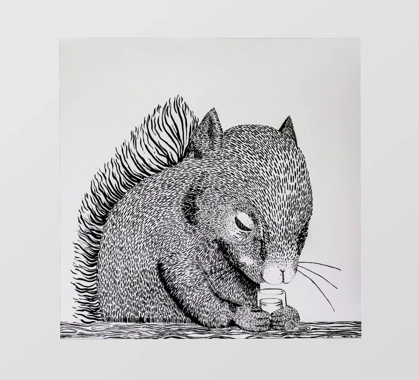 Squirrel backlit folie van Anna Fietta
