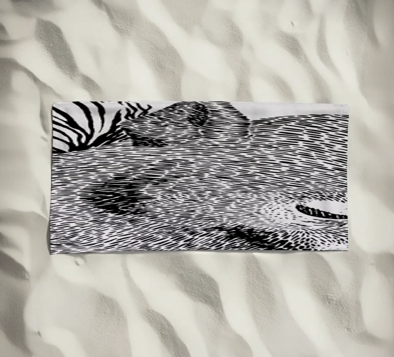 Squirrel telo mare da Anna Fietta