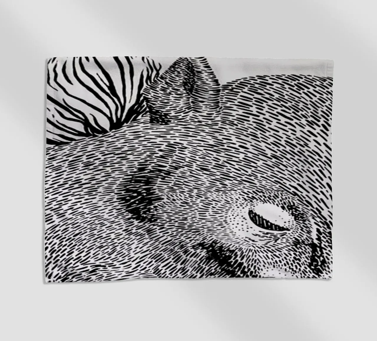 Squirrel telo mare da Anna Fietta