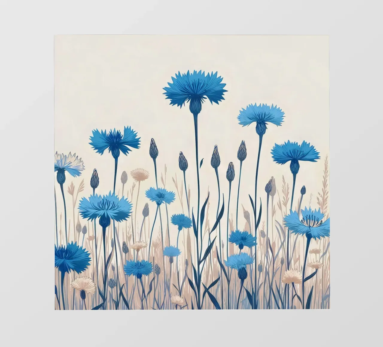 Fiordalisi pellicola backlit da Digital Naive