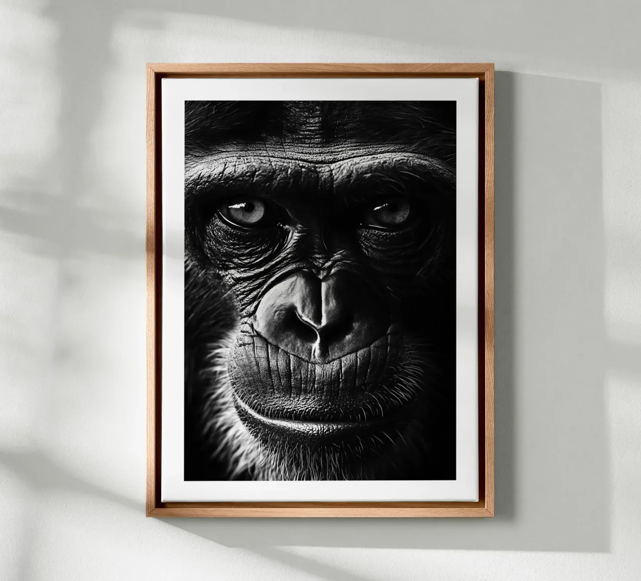 Intense portrait of a monkey canvas with Floater frame by Monochrome