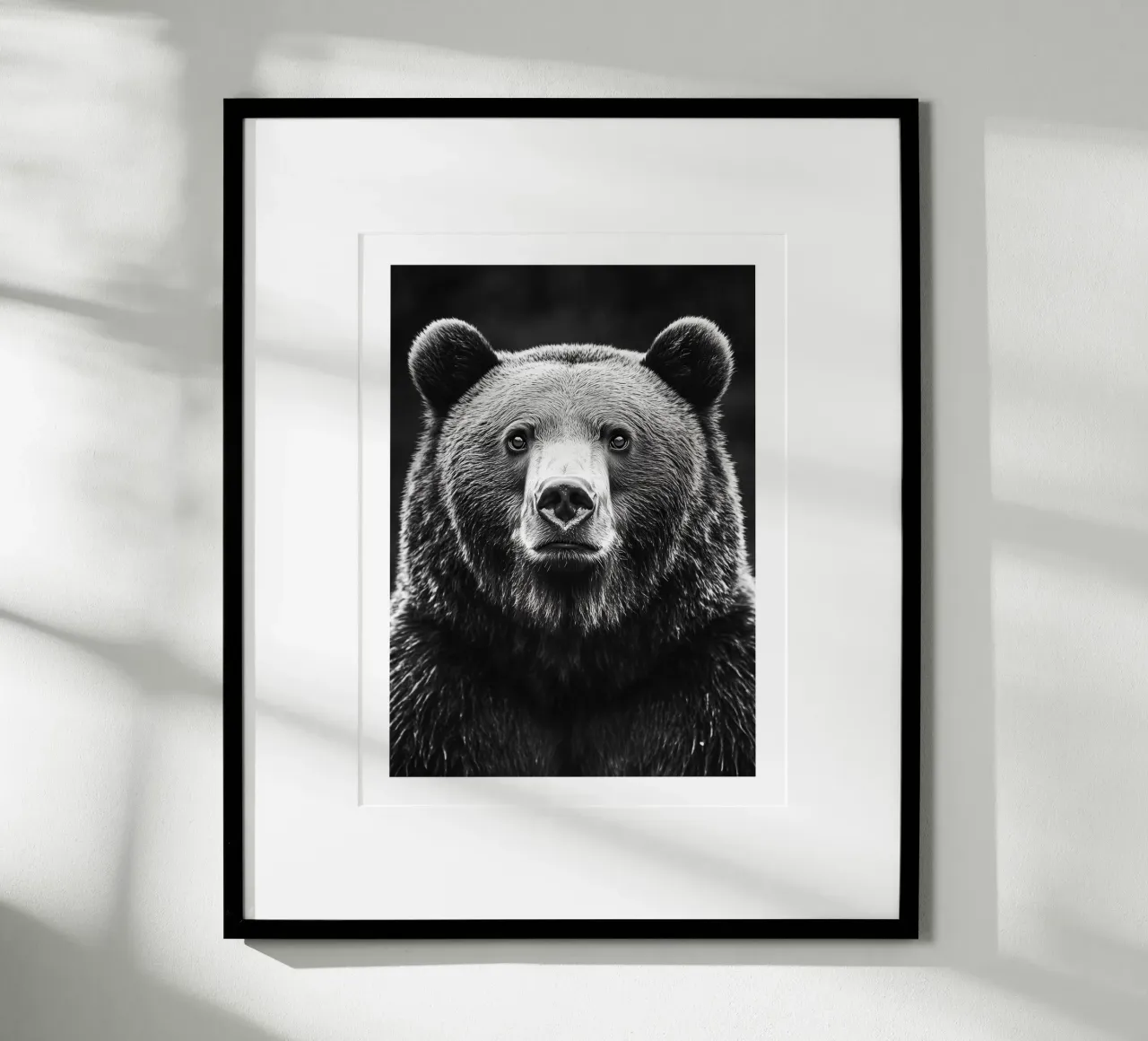 Maestoso ritratto di un orso carta hahnemühle da Monochrome
