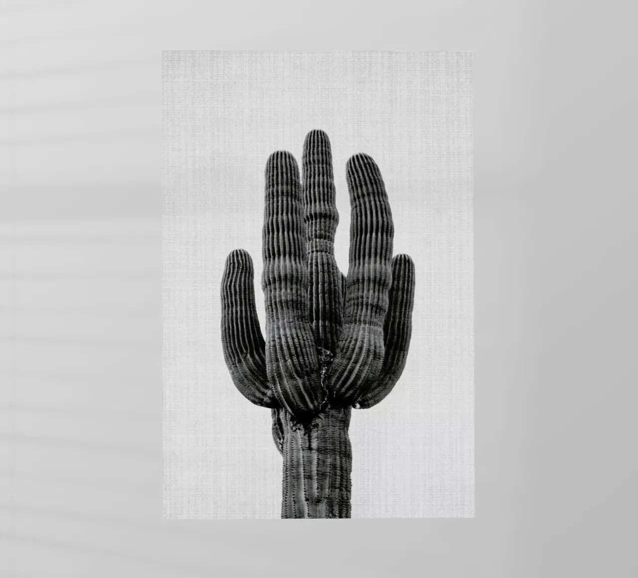 Print 91 pellicola backlit da Lila & Lola