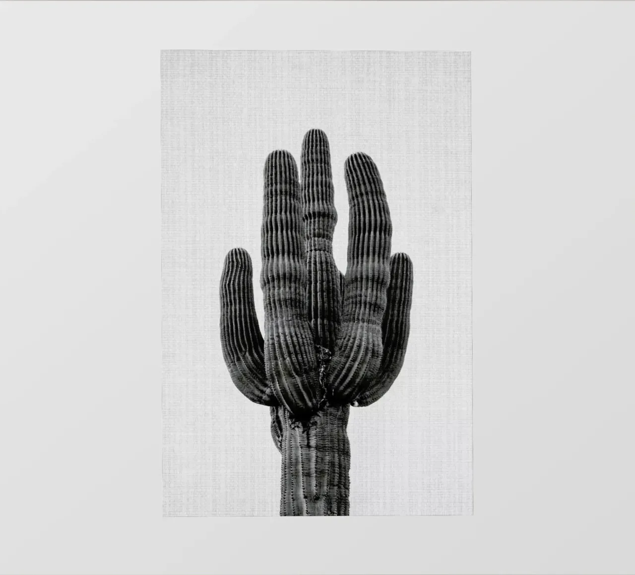 Print 91 pellicola backlit da Lila & Lola