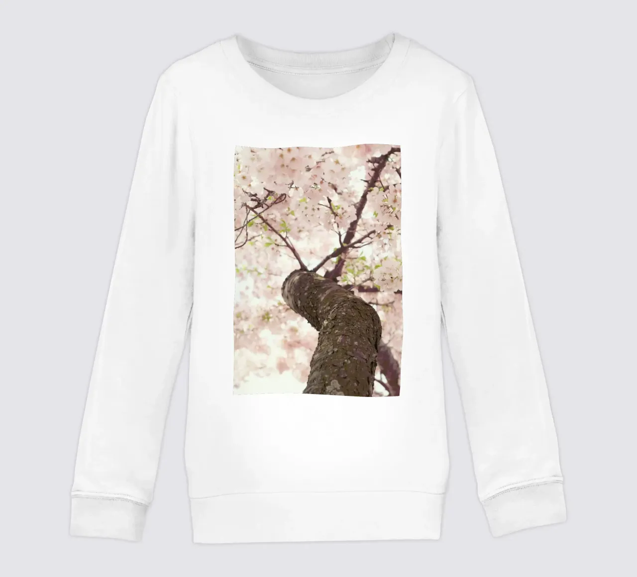 Sanctuary kids sweatshirt by Catherine McDonald