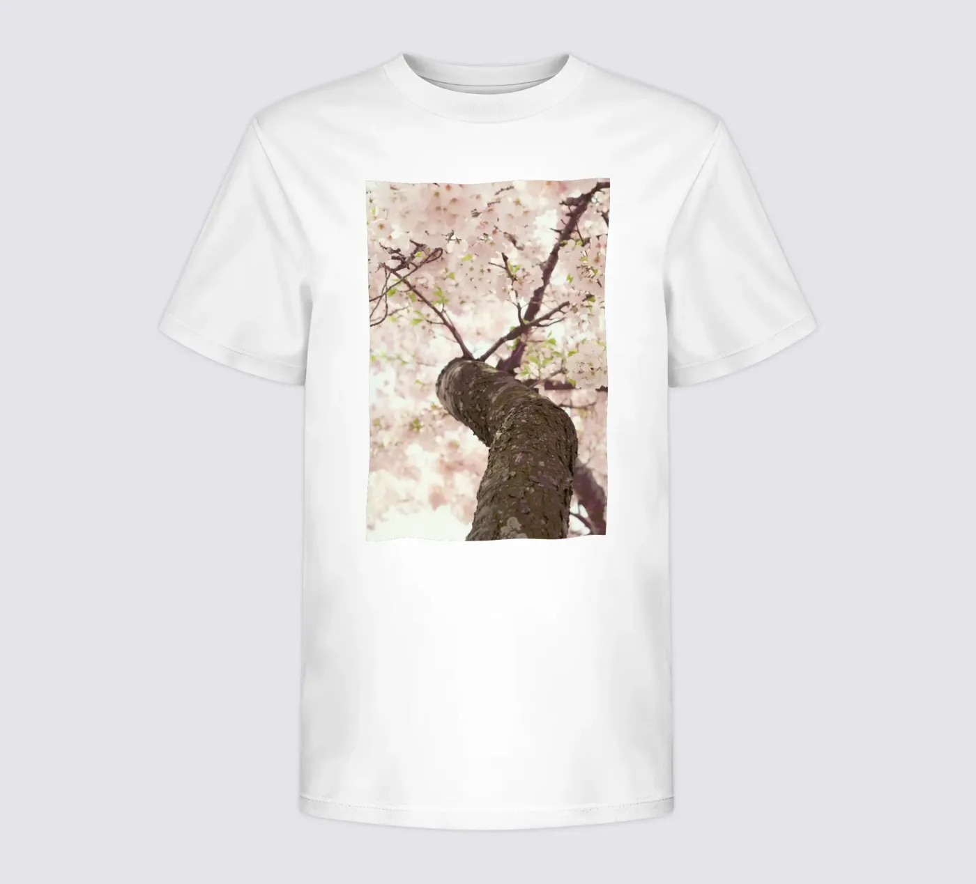 Sanctuary kinder t-shirt van Catherine McDonald