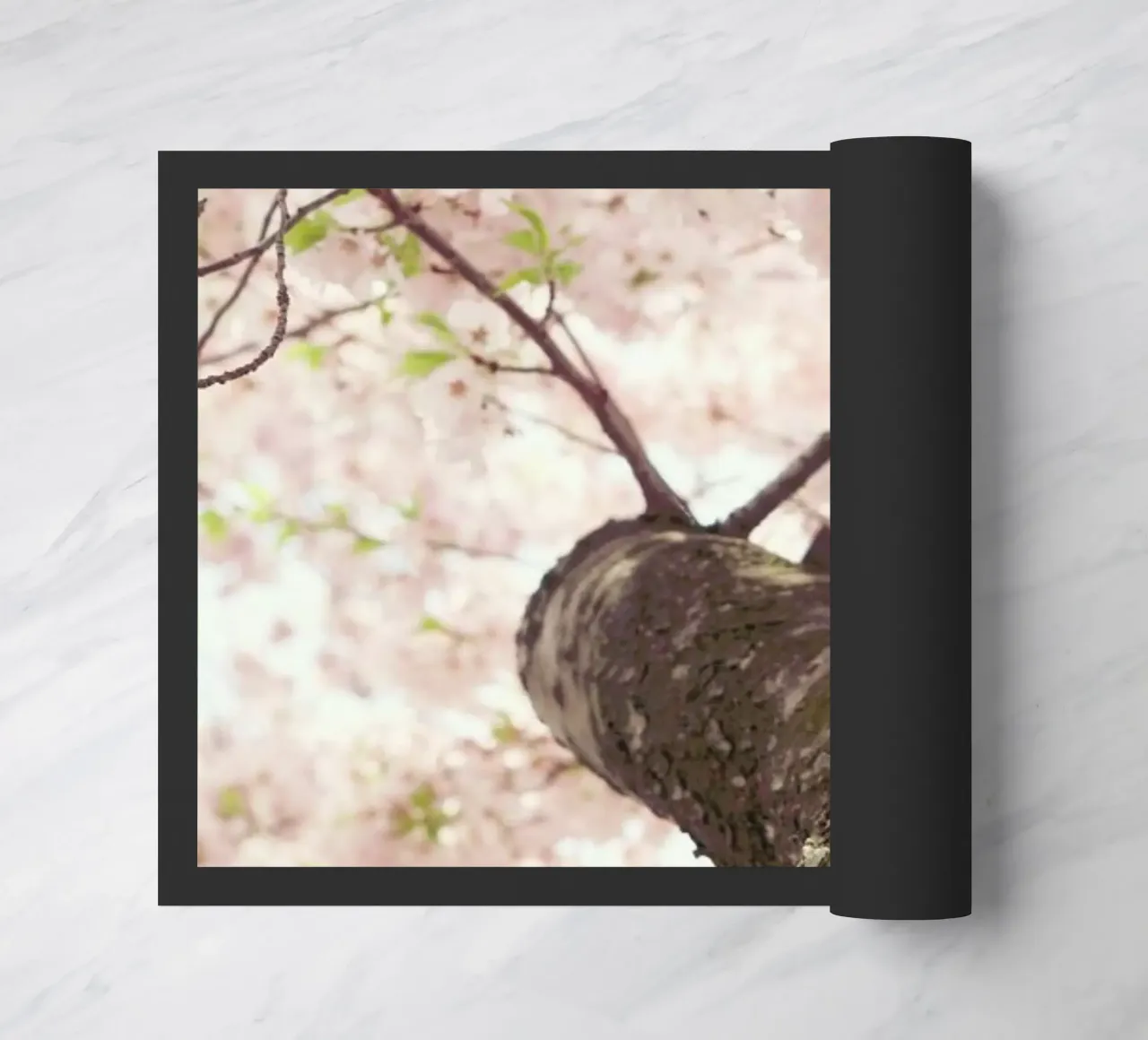 Sanctuary zerbino da Catherine McDonald