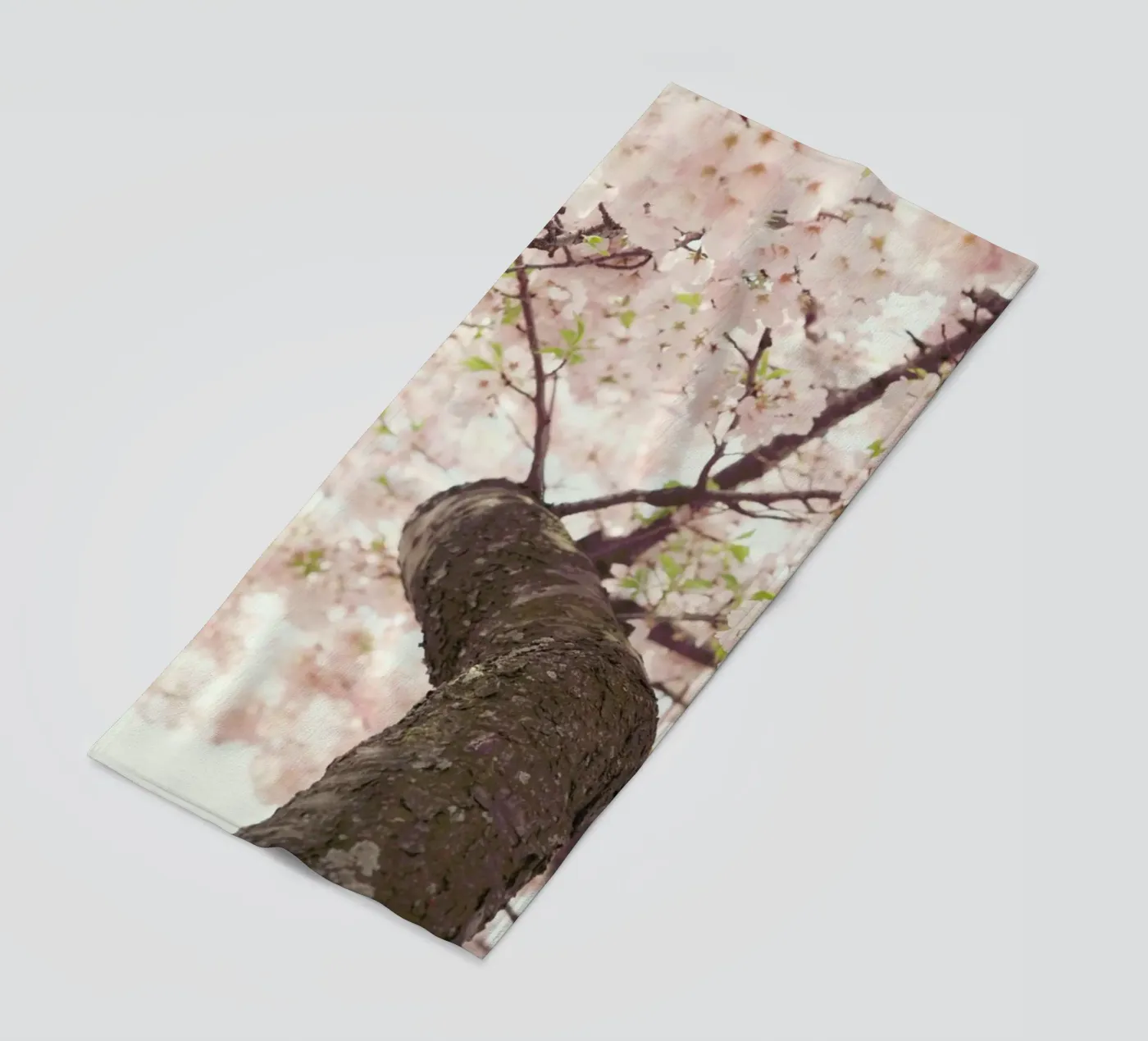 Sanctuary telo mare da Catherine McDonald