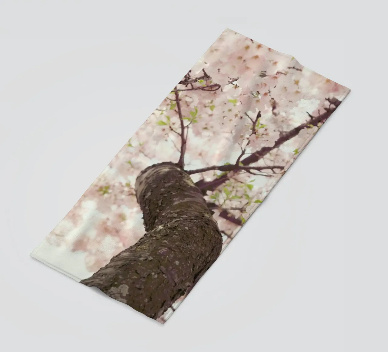 Sanctuary telo mare da Catherine McDonald