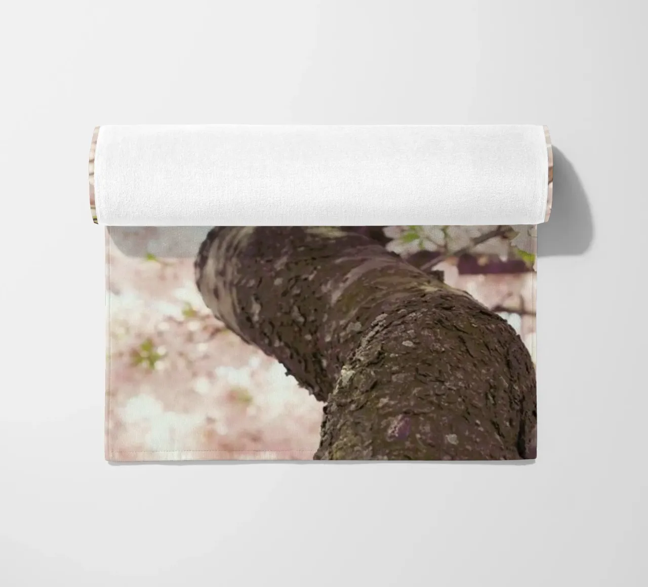 Sanctuary telo mare da Catherine McDonald