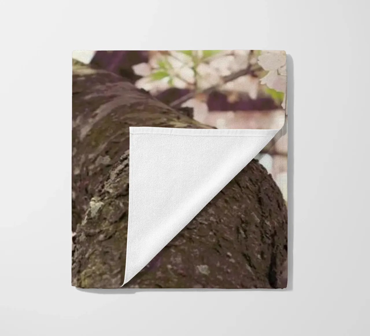 Sanctuary telo mare da Catherine McDonald