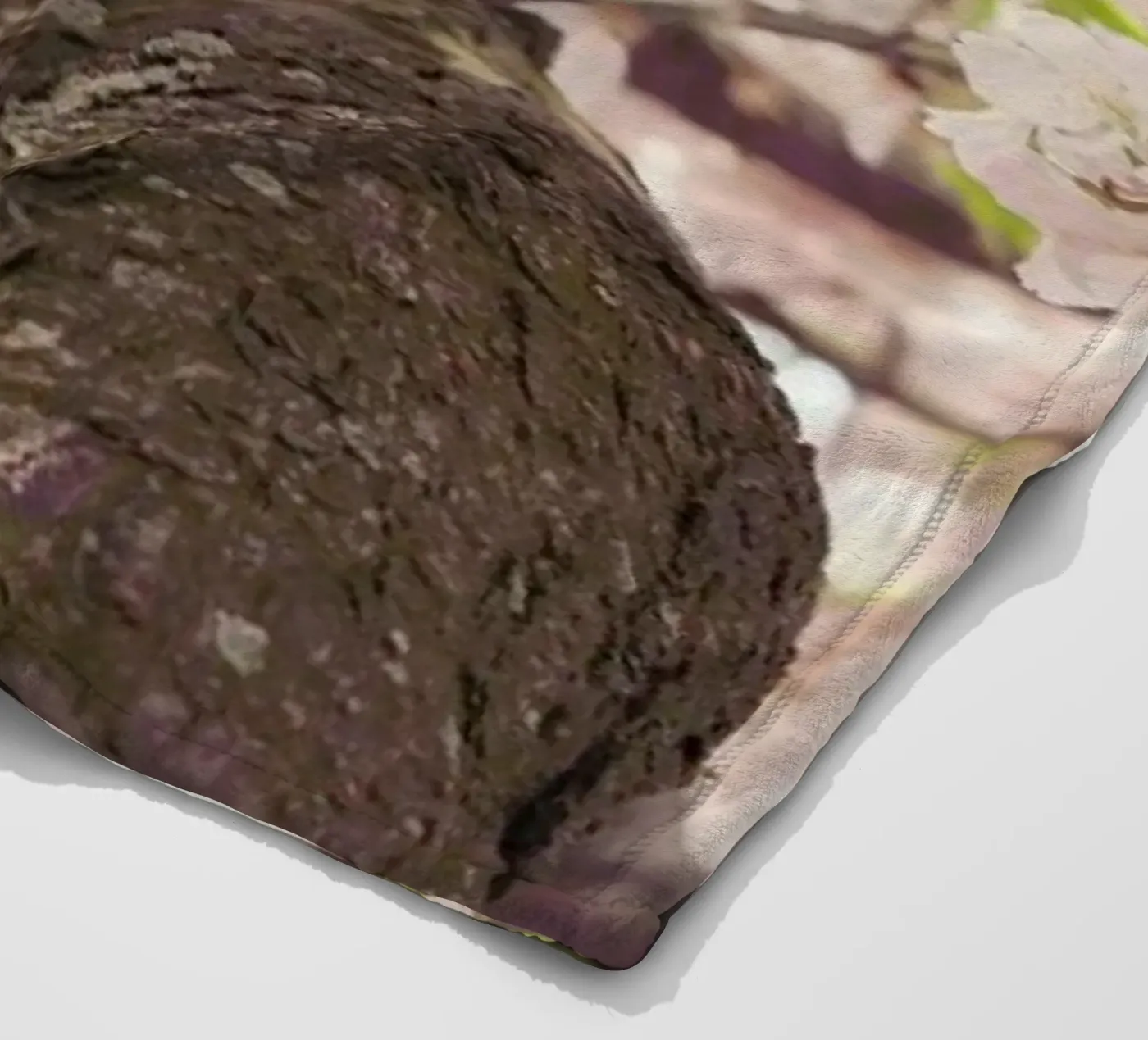 Sanctuary fleecedeken van Catherine McDonald