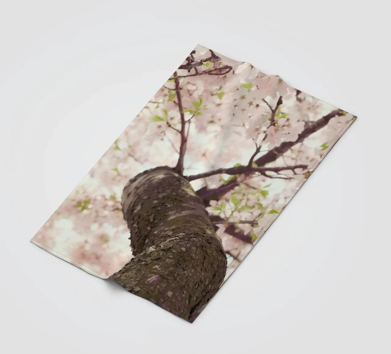 Sanctuary Fleecedecke von Catherine McDonald