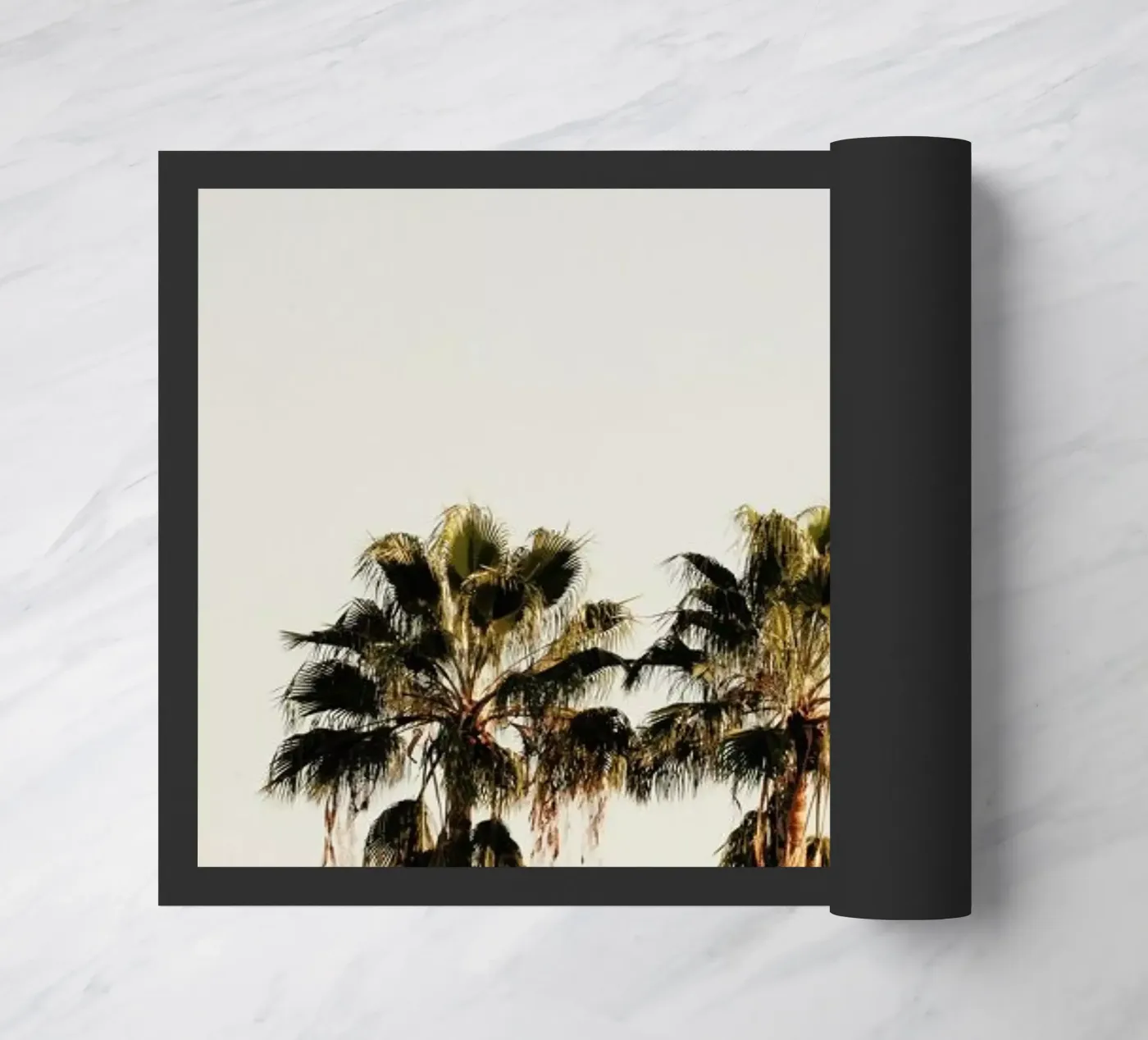 3 Palms zerbino da Catherine McDonald