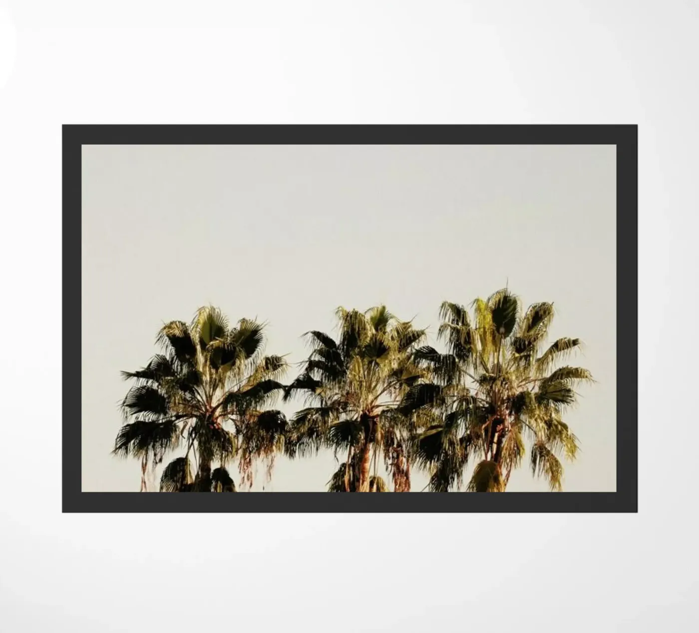 3 Palms deurmat van Catherine McDonald