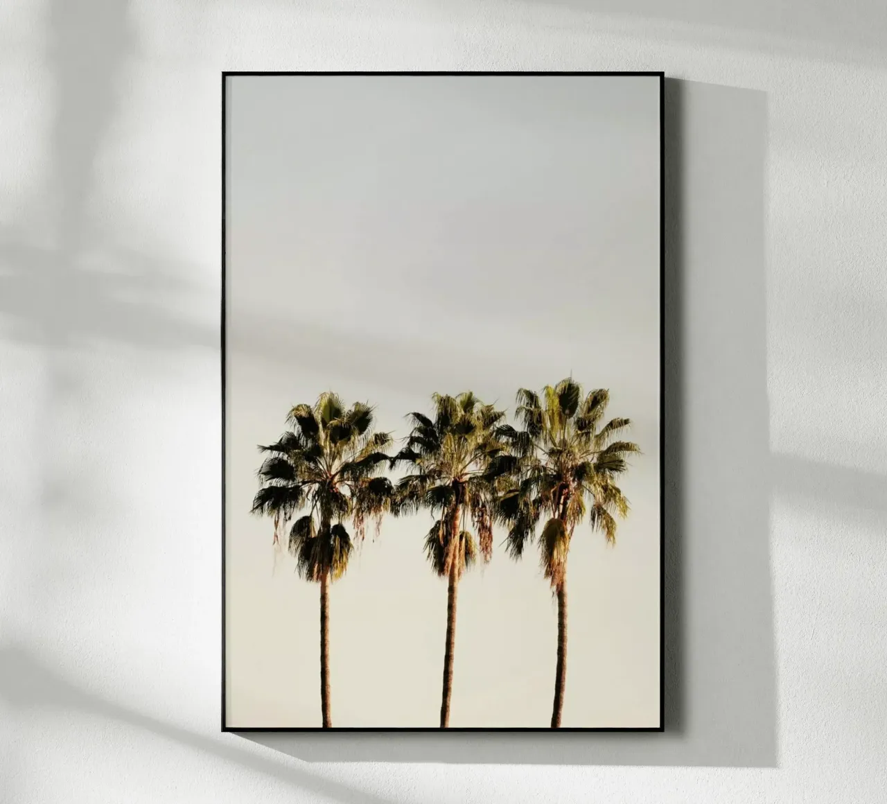 3 Palms plexiglas de Catherine McDonald