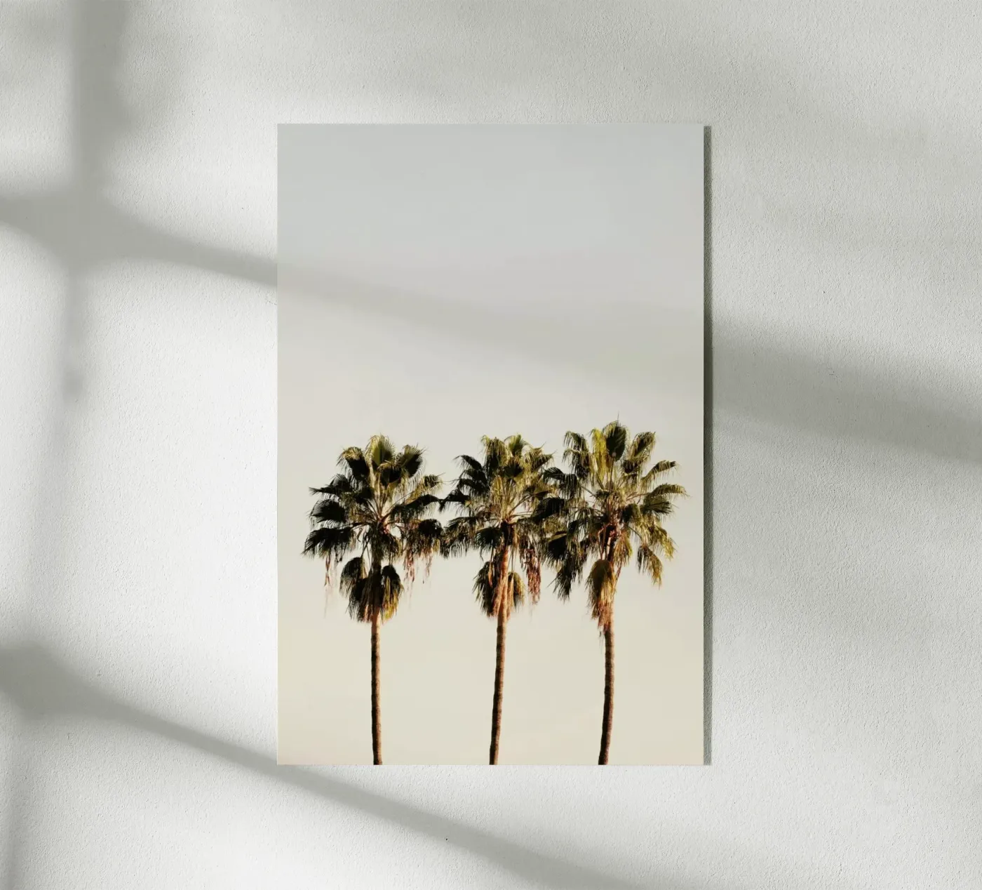 3 Palms acryl van Catherine McDonald