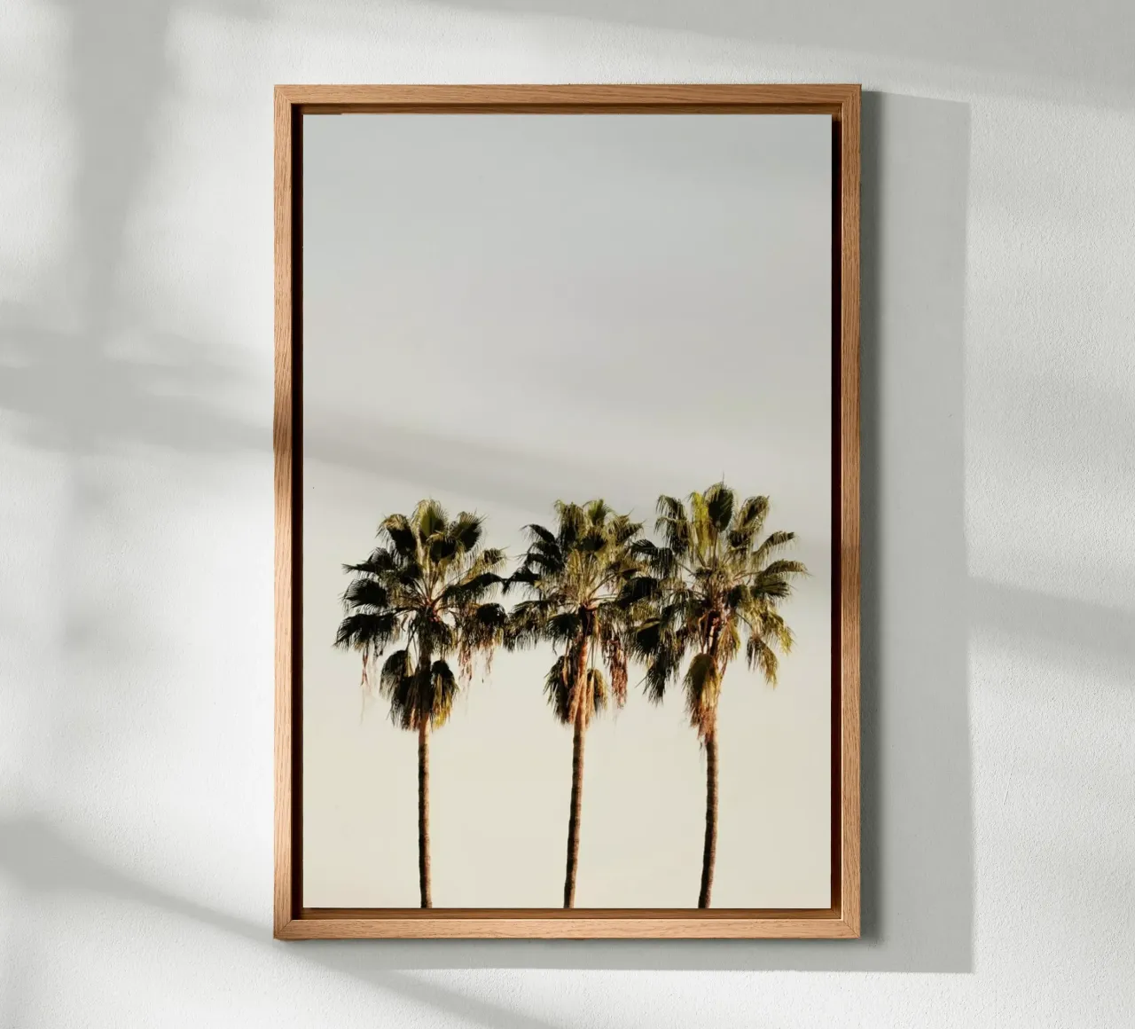 3 Palms tela con Cornice a cassetta da Catherine McDonald