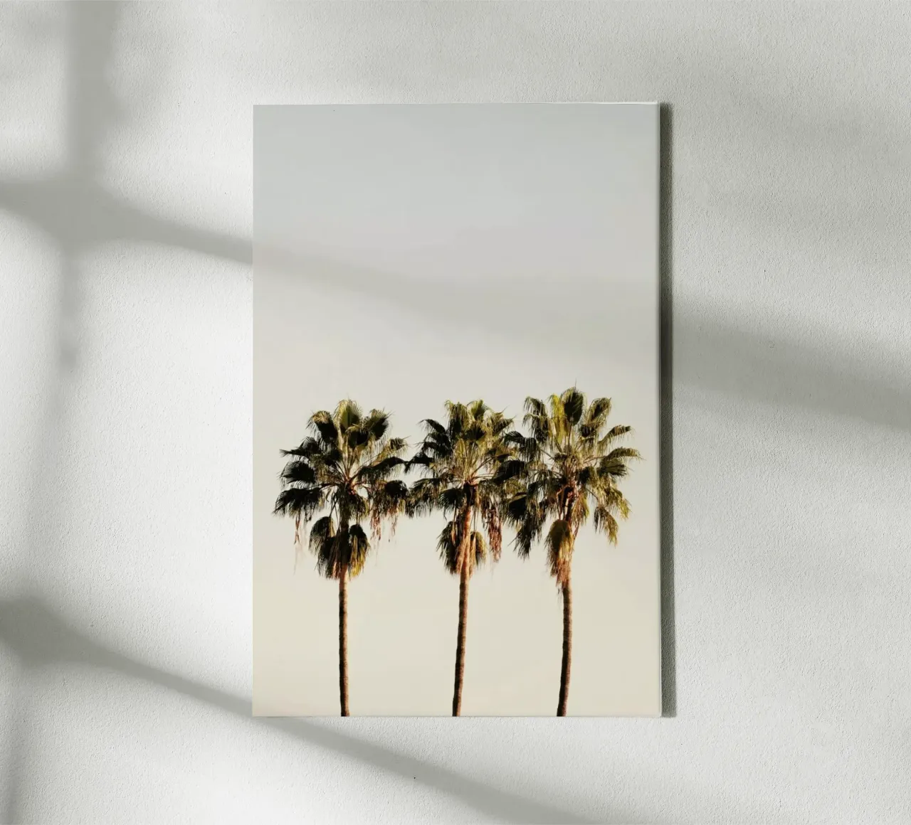 3 Palms tela con Cornice a cassetta da Catherine McDonald