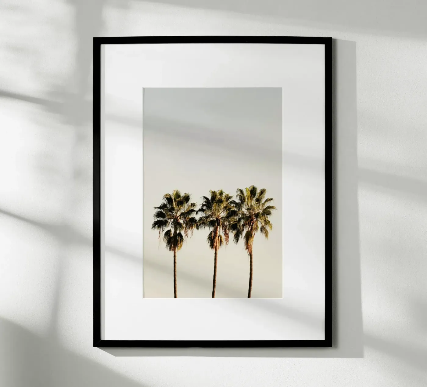 3 Palms poster van Catherine McDonald