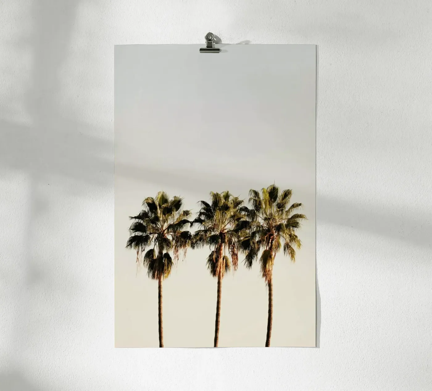 3 Palms poster van Catherine McDonald