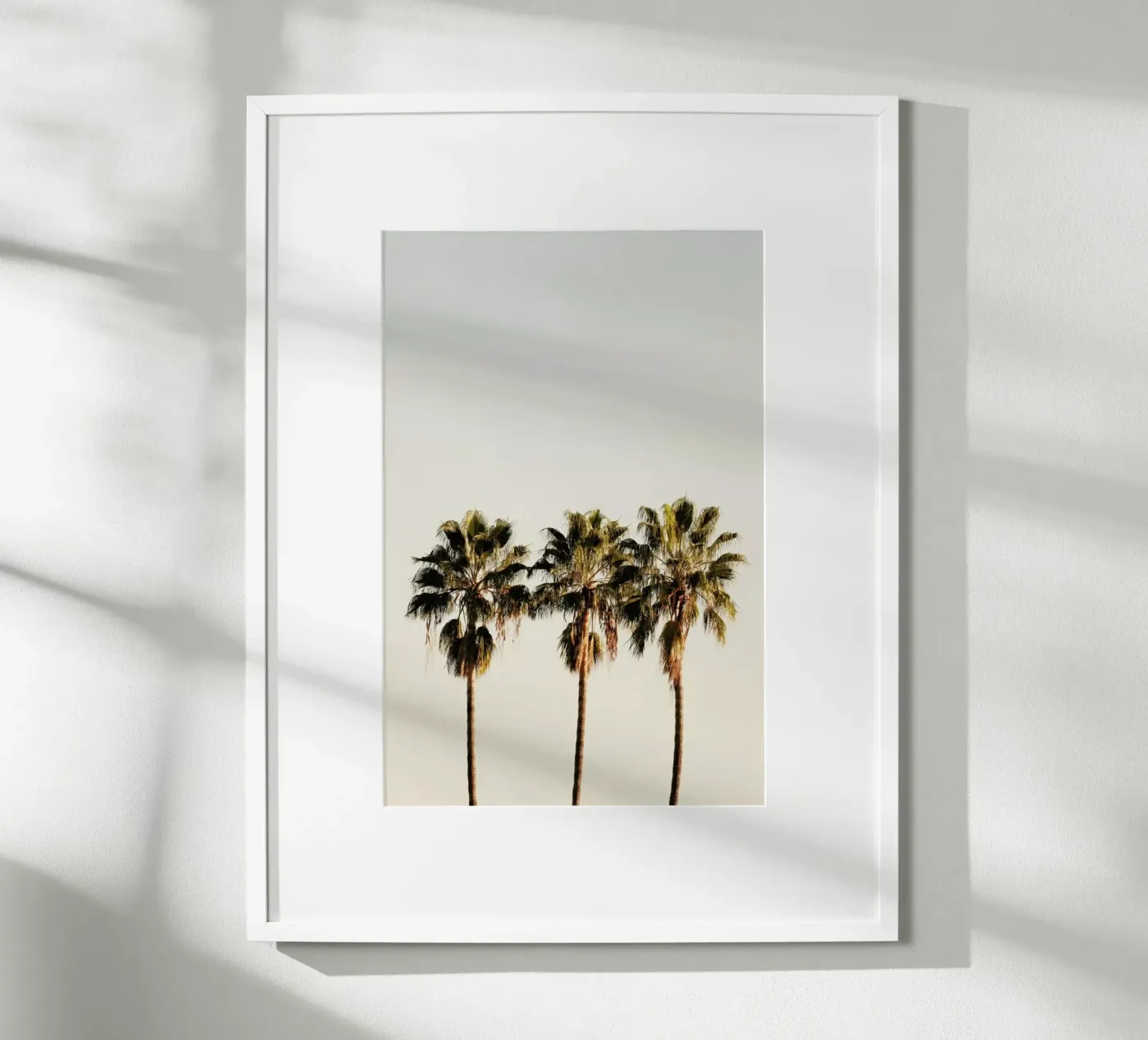 3 Palms poster van Catherine McDonald
