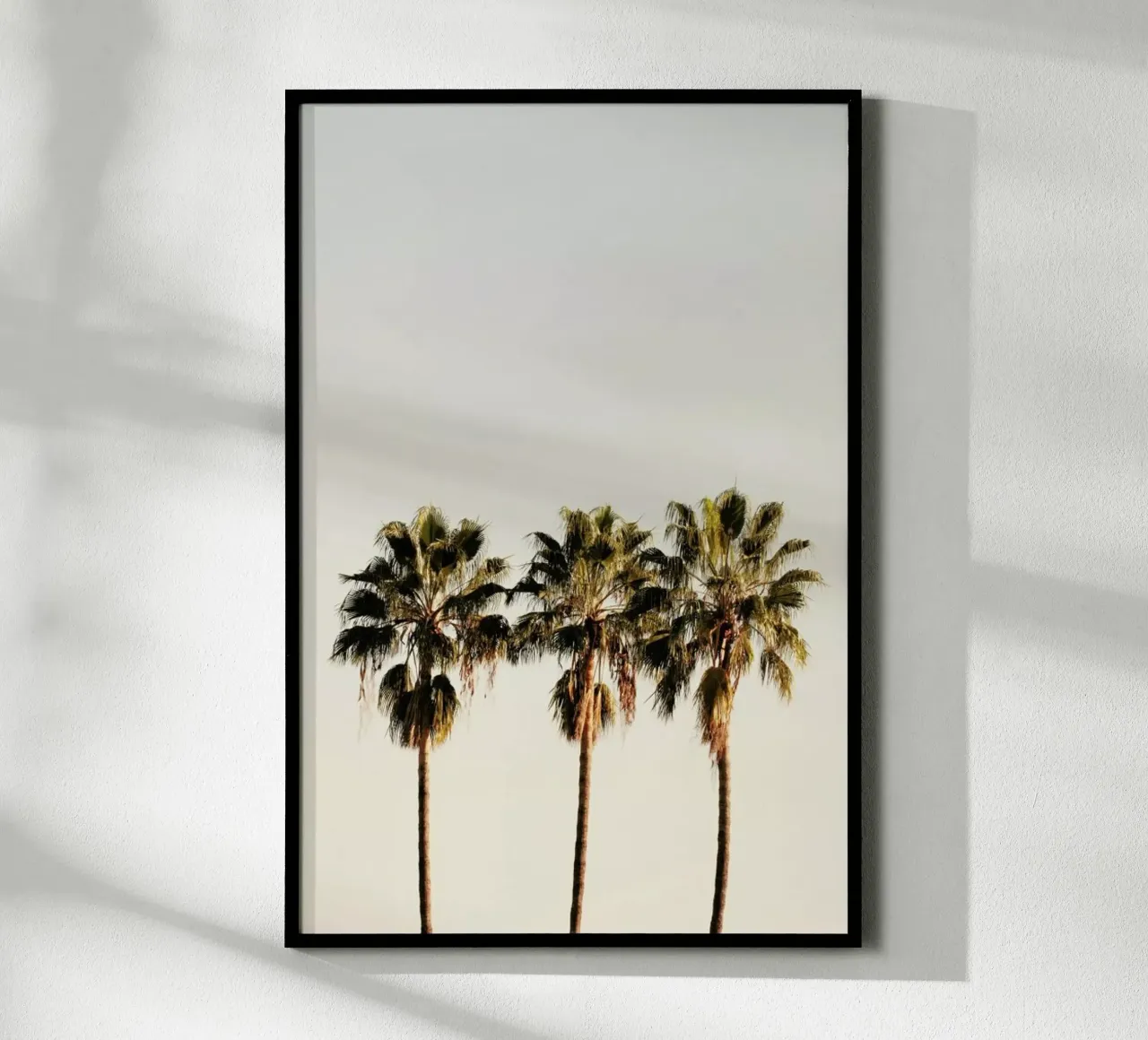 3 Palms poster da Catherine McDonald