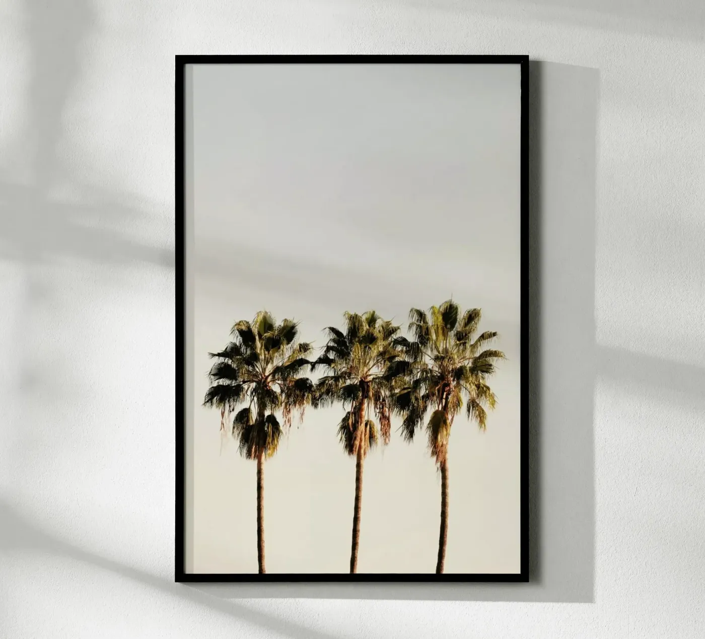 3 Palms poster van Catherine McDonald