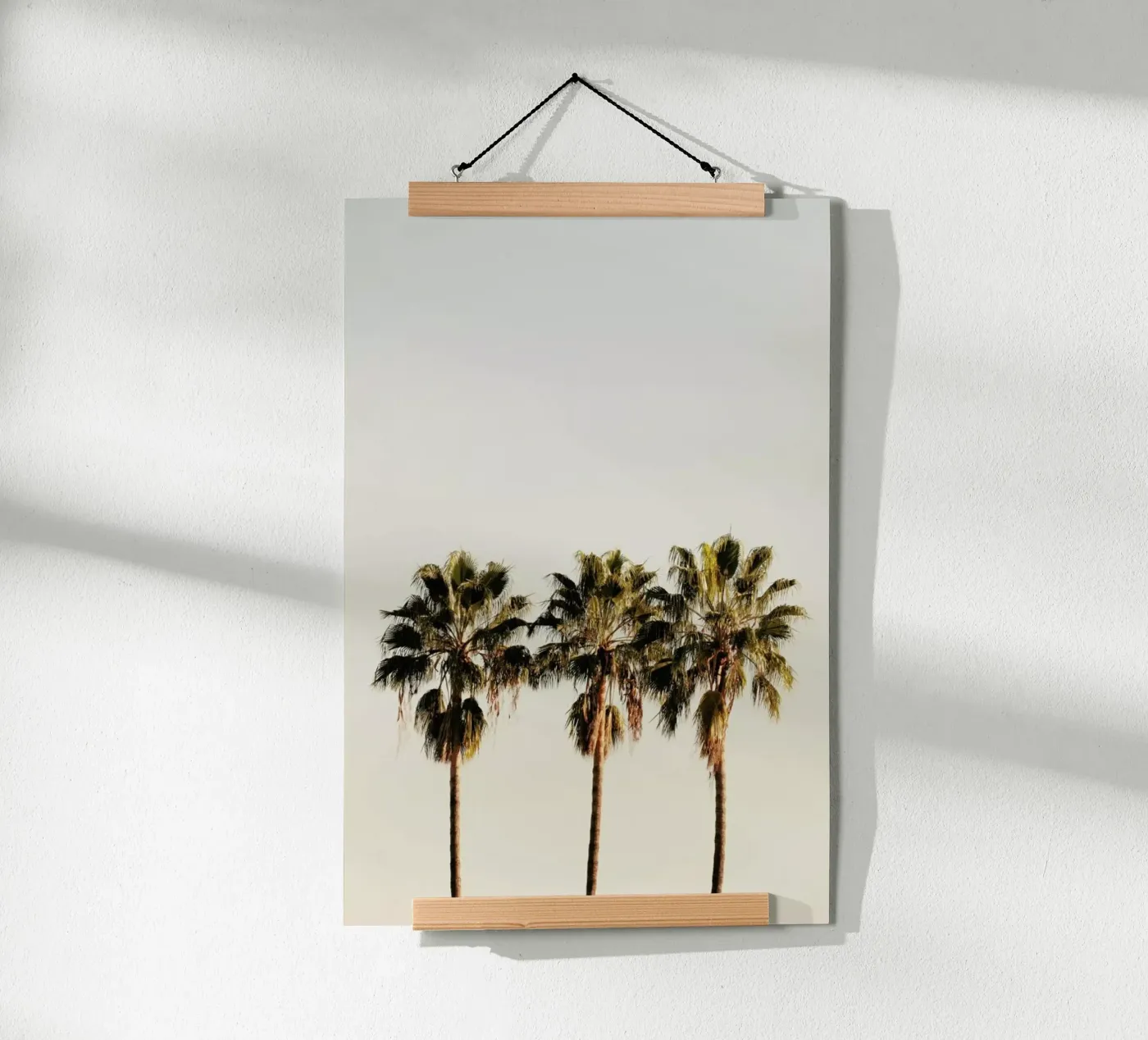 3 Palms poster van Catherine McDonald