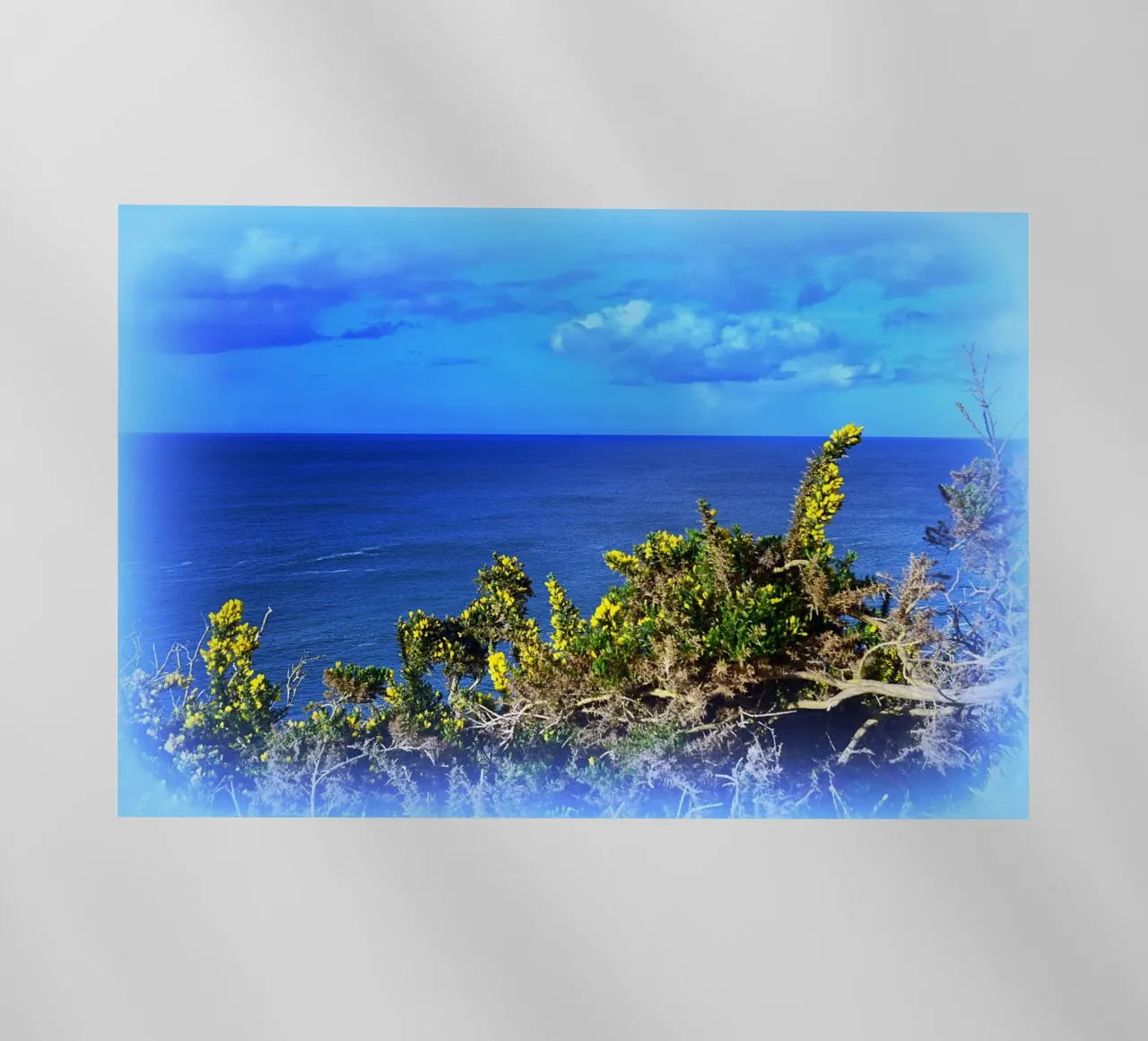 FAA164 pellicola backlit da Thierry vobmann photography