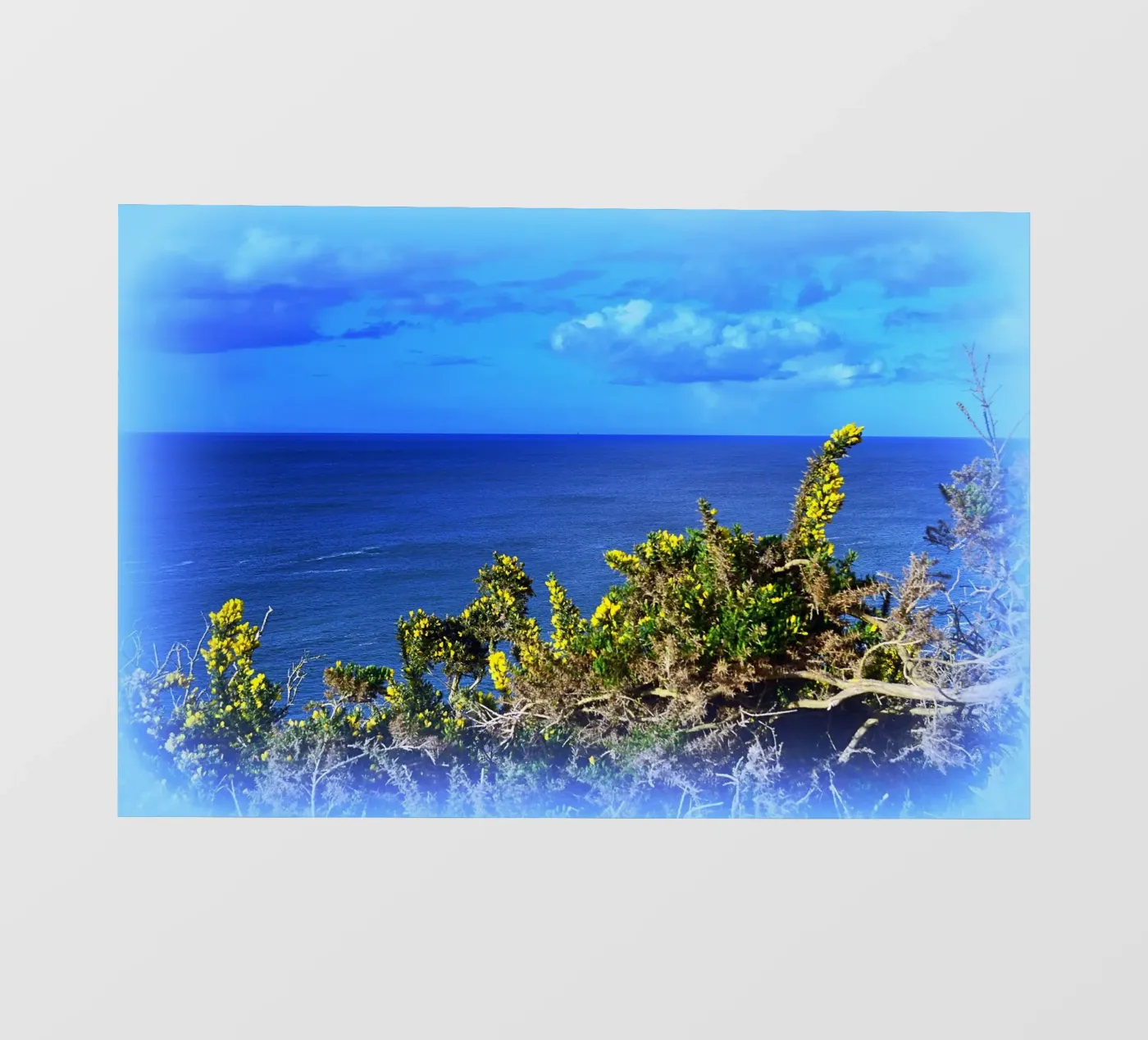 FAA164 pellicola backlit da Thierry vobmann photography