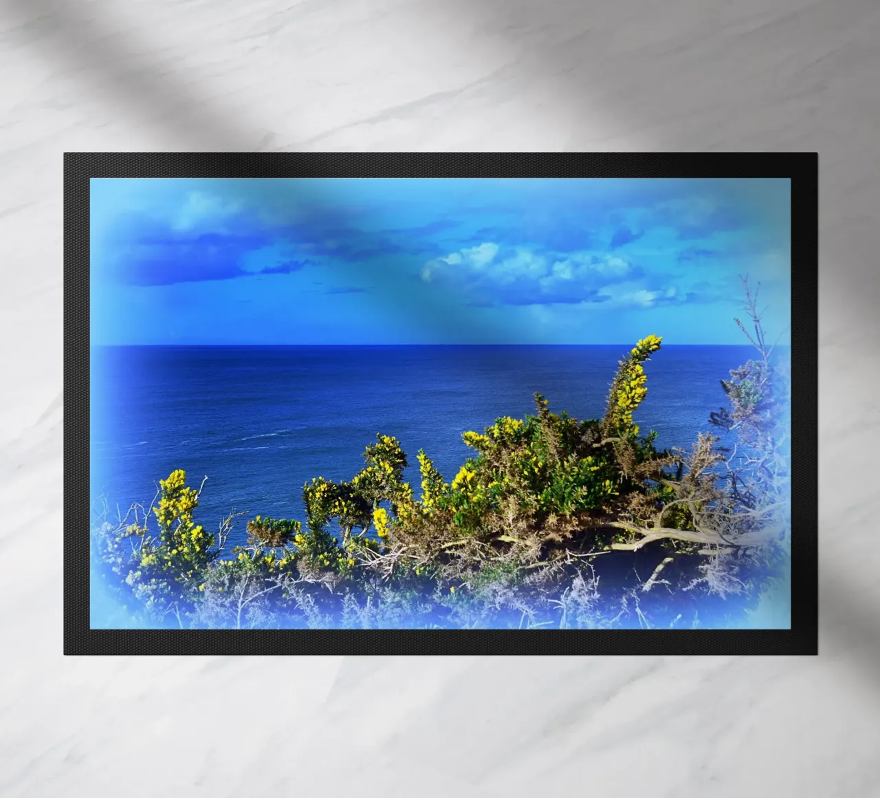 FAA164 zerbino da Thierry vobmann photography