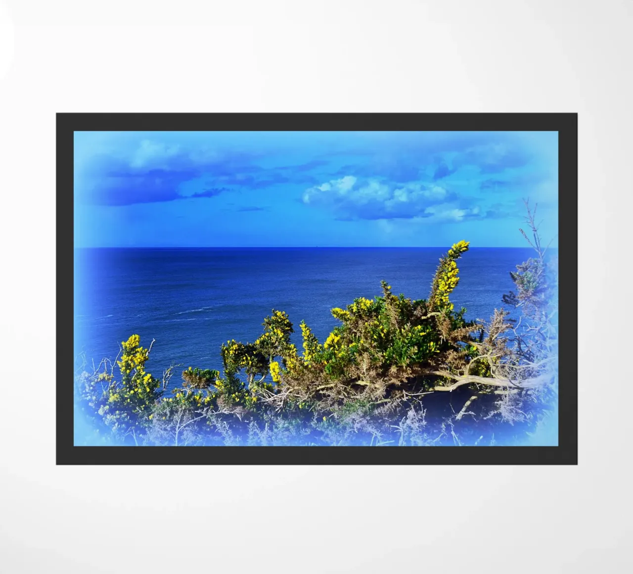 FAA164 zerbino da Thierry vobmann photography