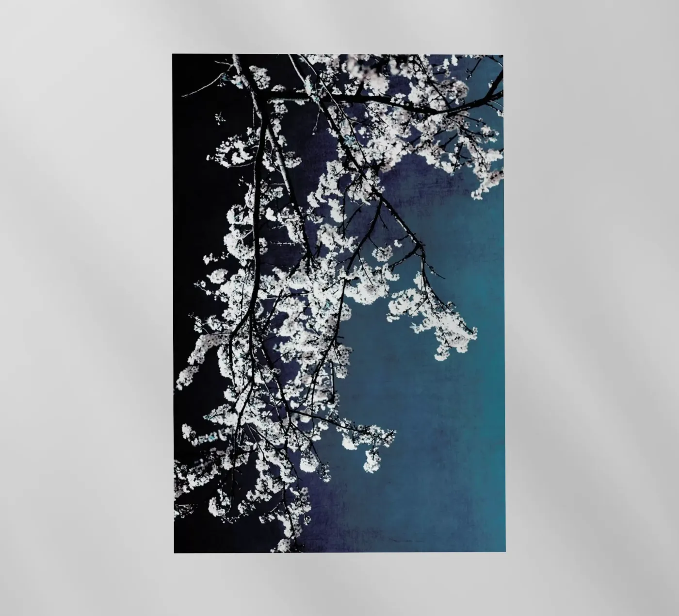 Flowers pellicola backlit da Ingrid Beddoes