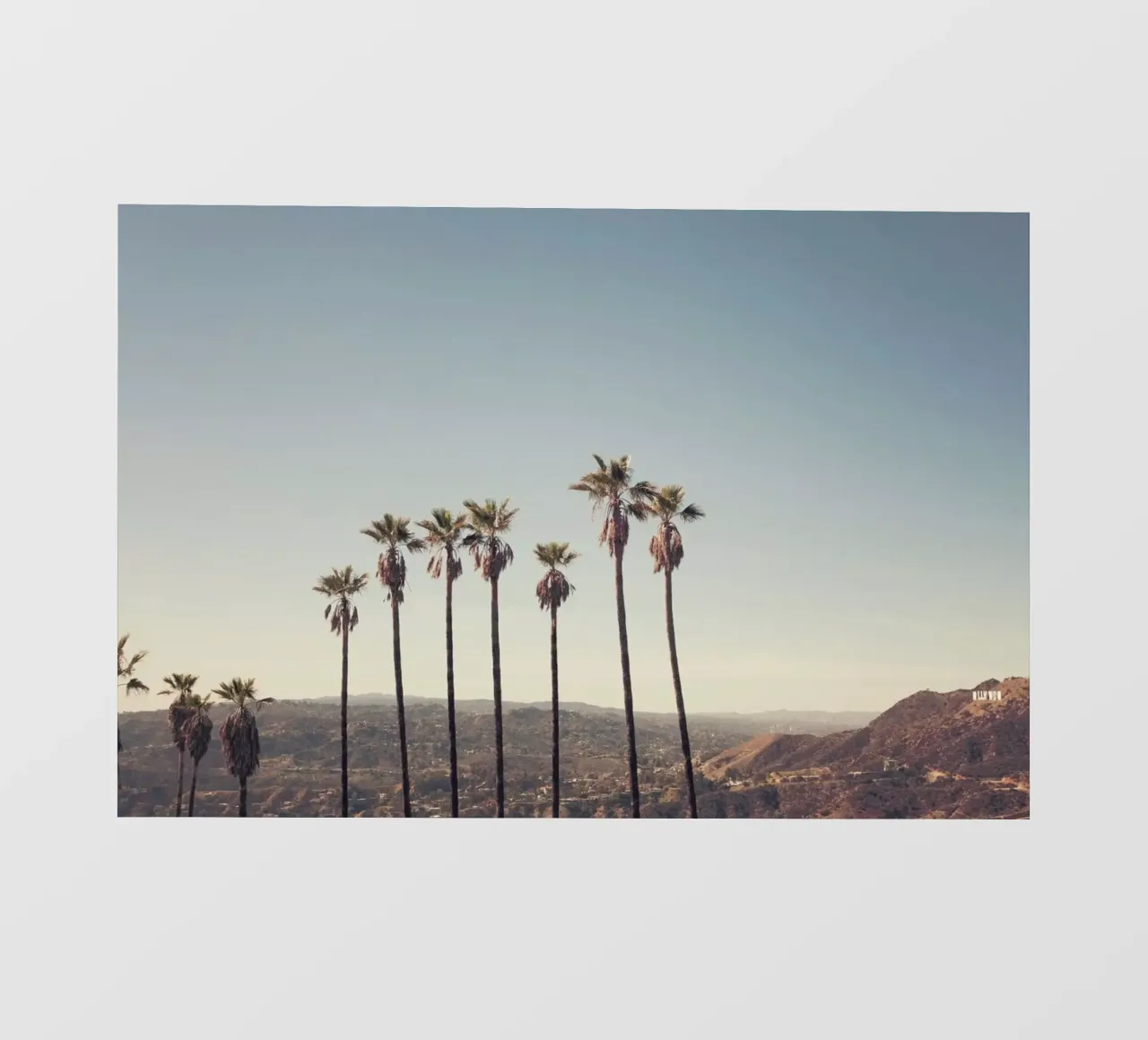 Hollywood Hills telo in pvc da Catherine McDonald