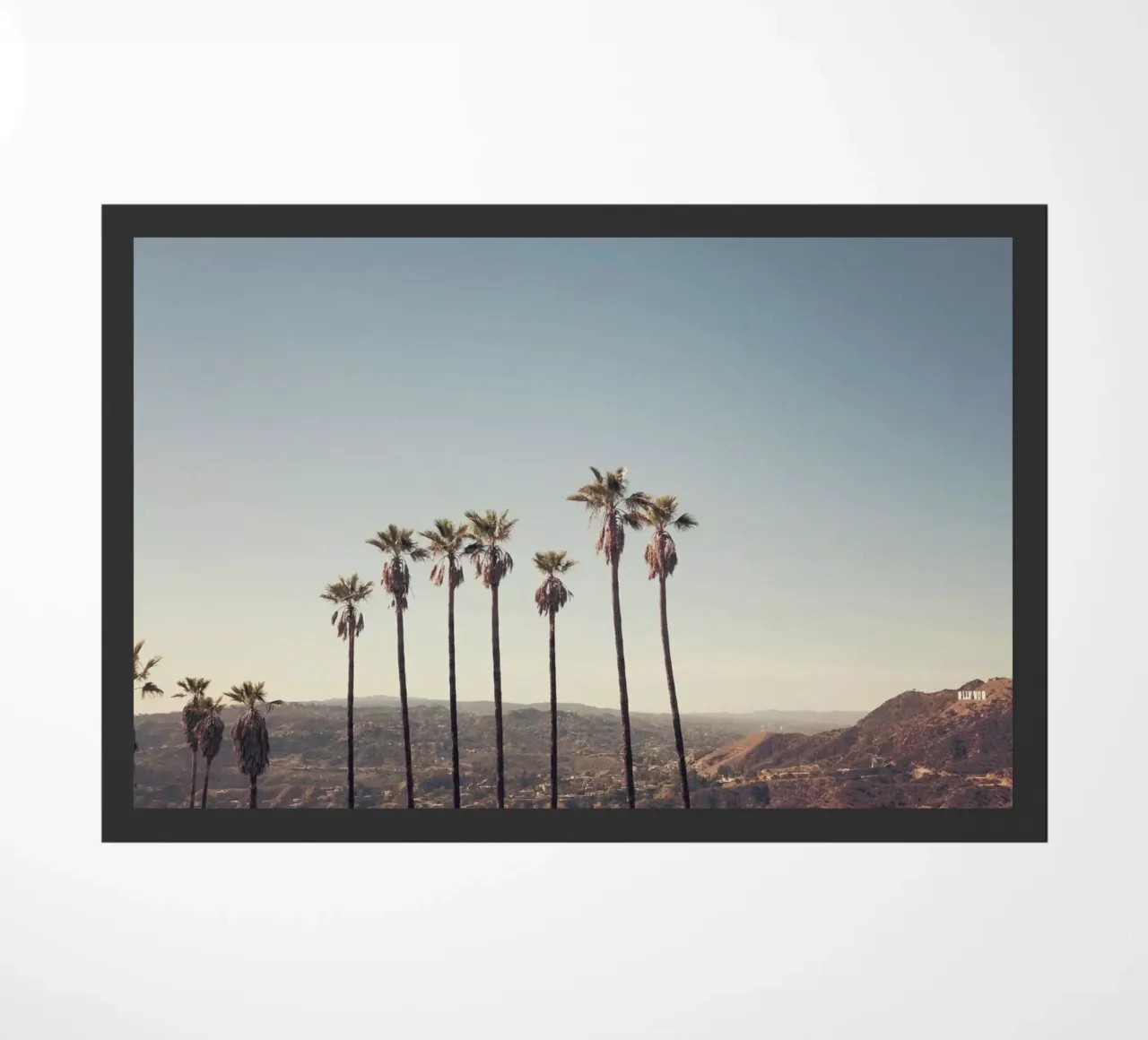 Hollywood Hills zerbino da Catherine McDonald