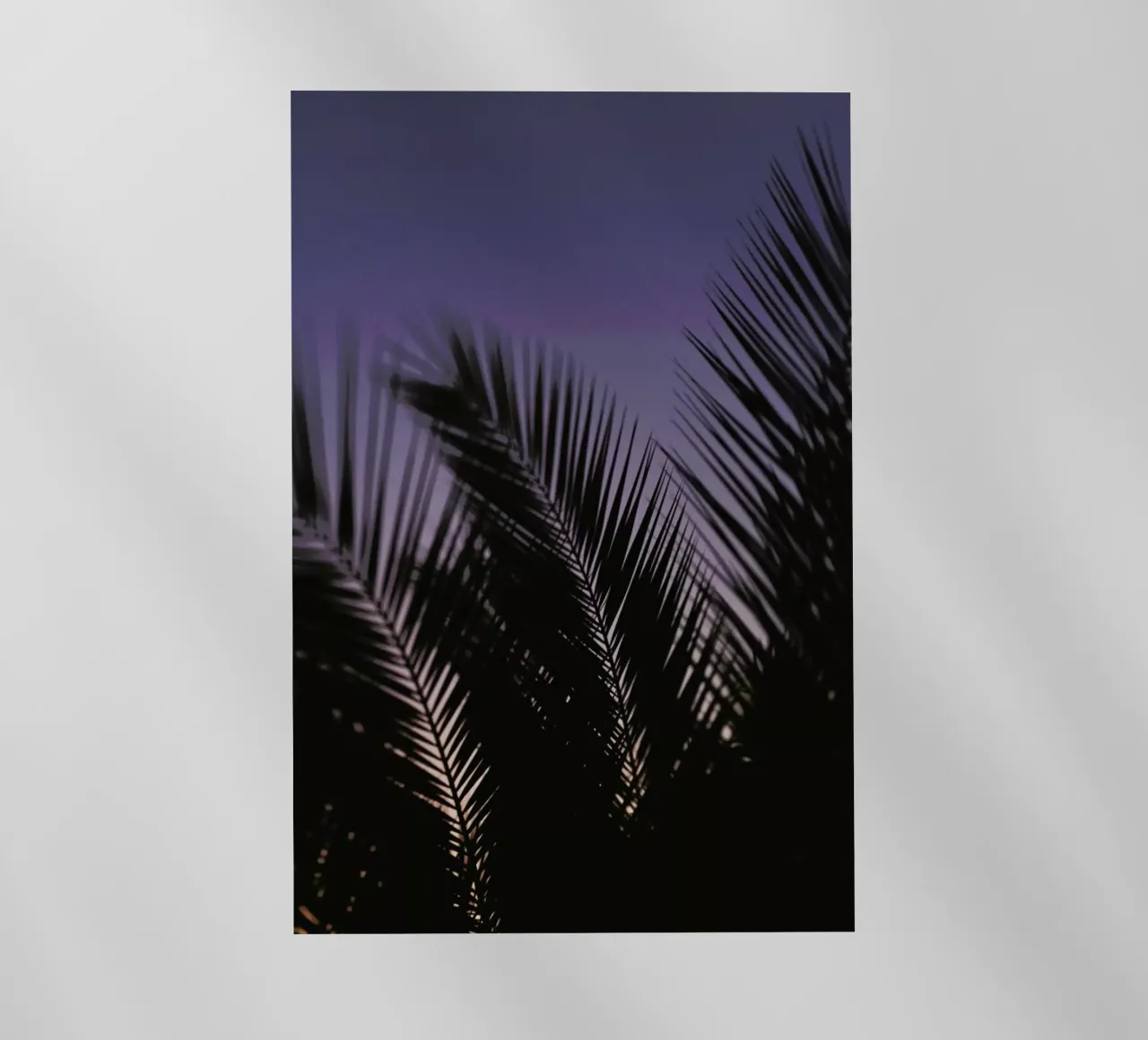 Palms 2 pellicola backlit da Catherine McDonald