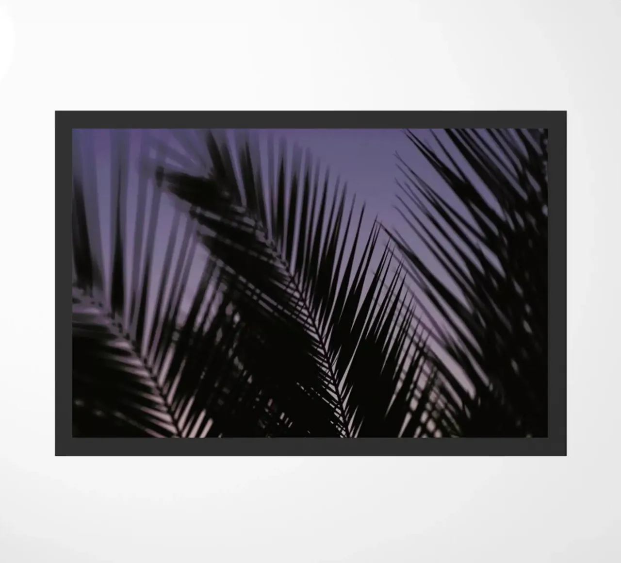 Palms 2 zerbino da Catherine McDonald