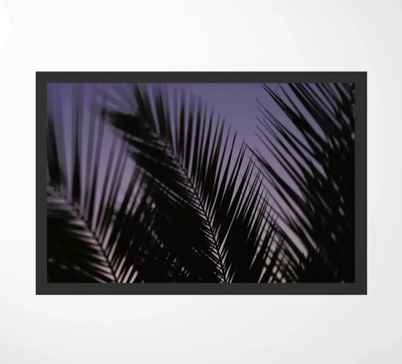 Palms 2 zerbino da Catherine McDonald