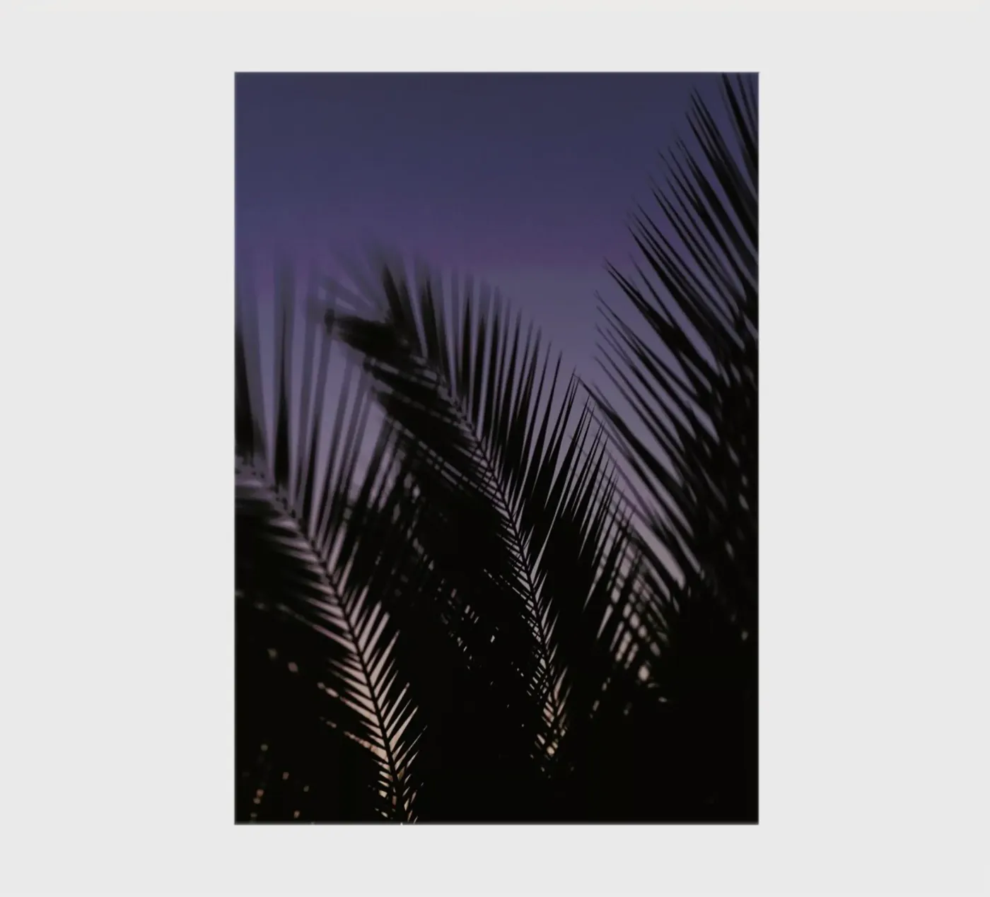 Palms 2 quaderno da Catherine McDonald