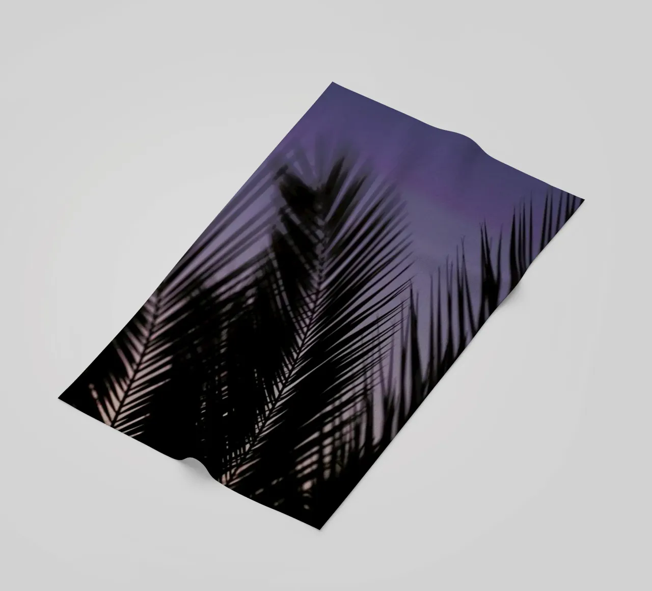 Palms 2 telo mare da Catherine McDonald