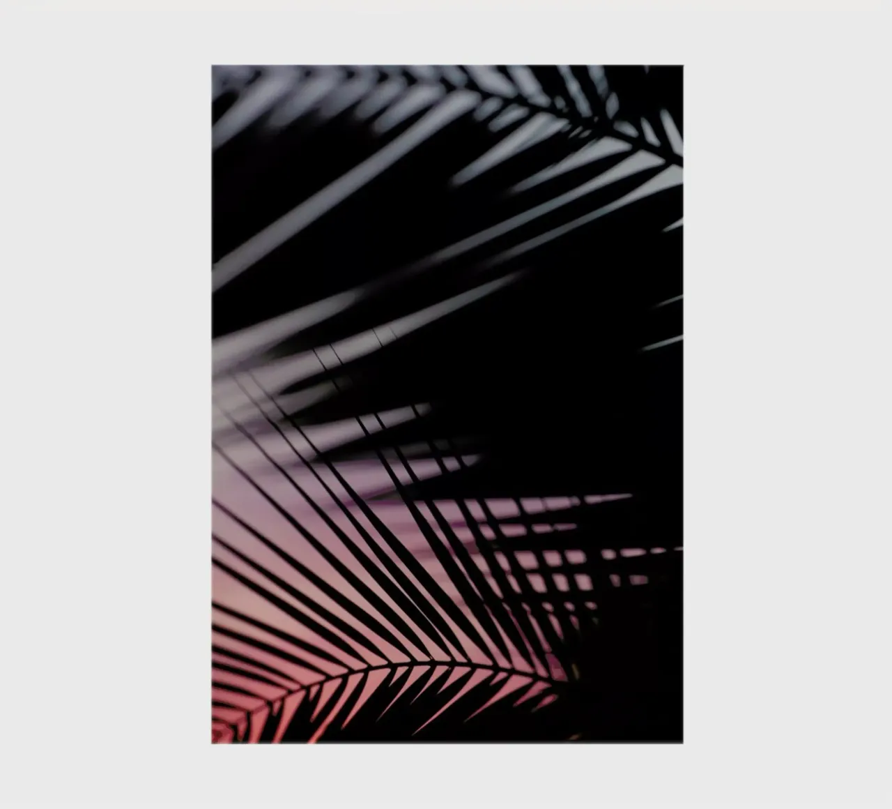 Palms 3 notebook by Catherine McDonald