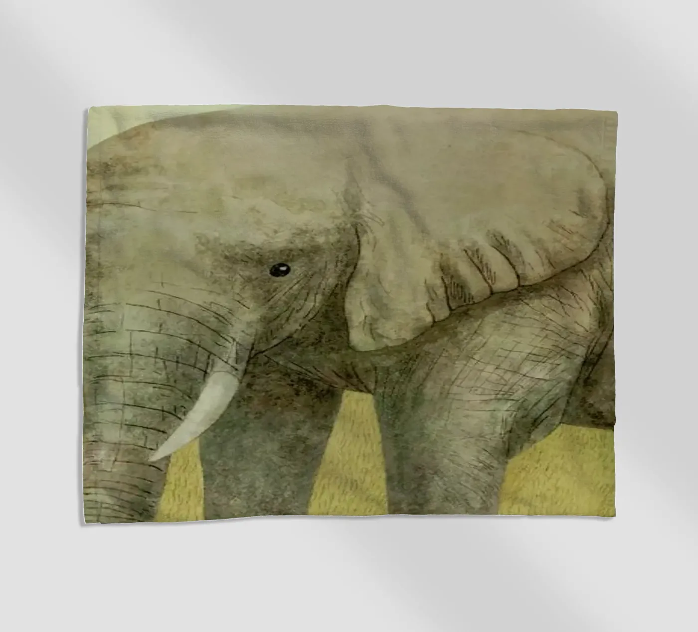 Truce telo mare da Terry Fan