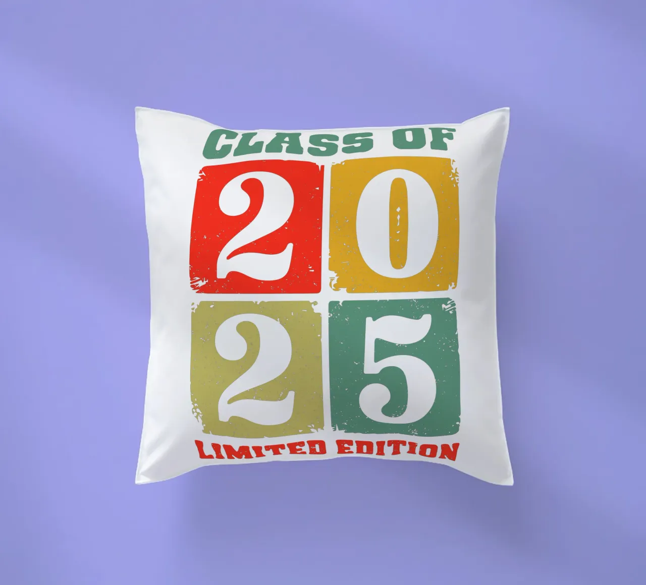 Class of 2025 Limited Edition cuscino da edsonramosart