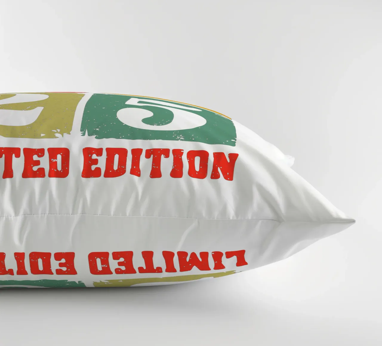 Class of 2025 Limited Edition cuscino da edsonramosart