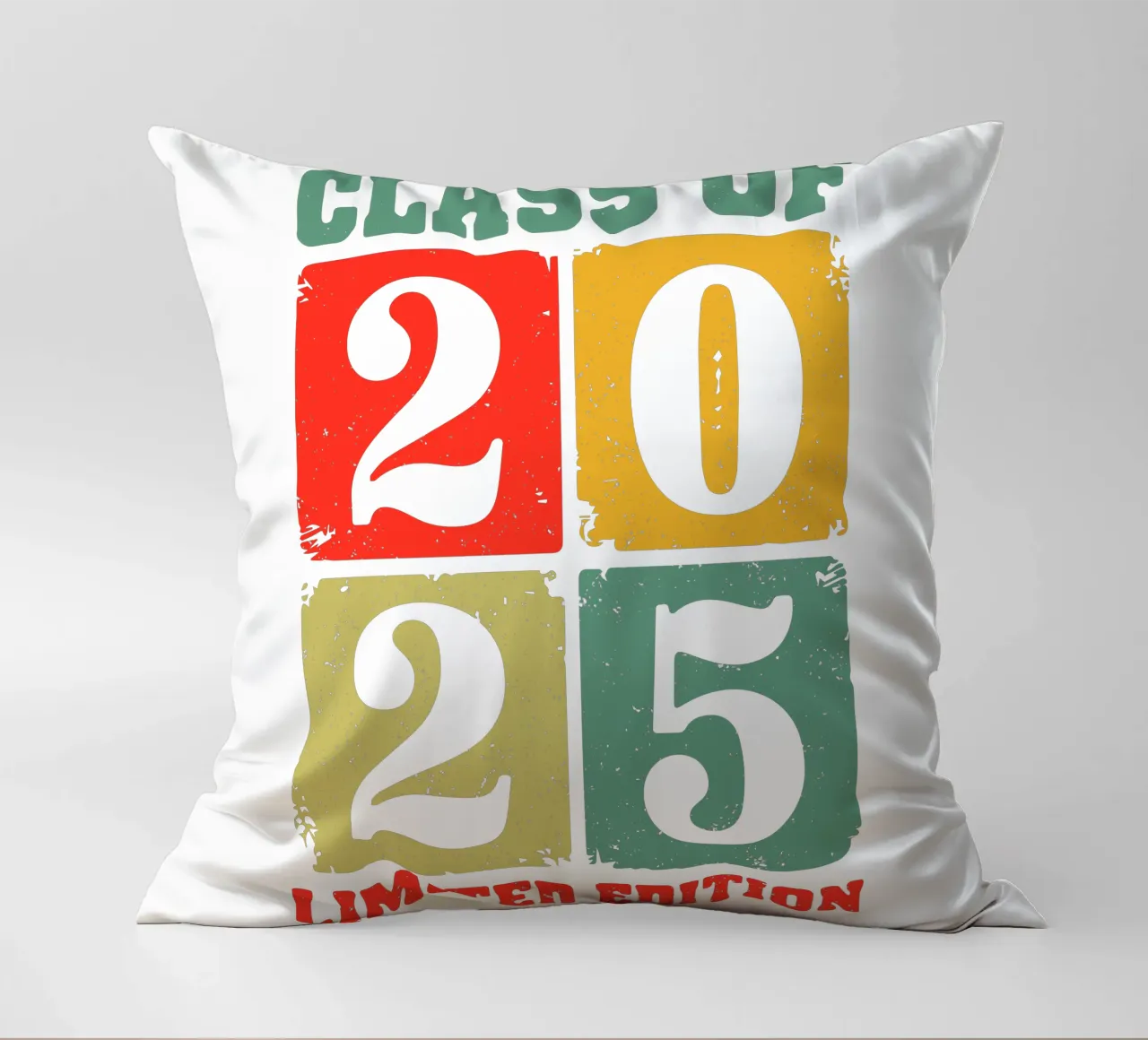 Class of 2025 Limited Edition cuscino da edsonramosart