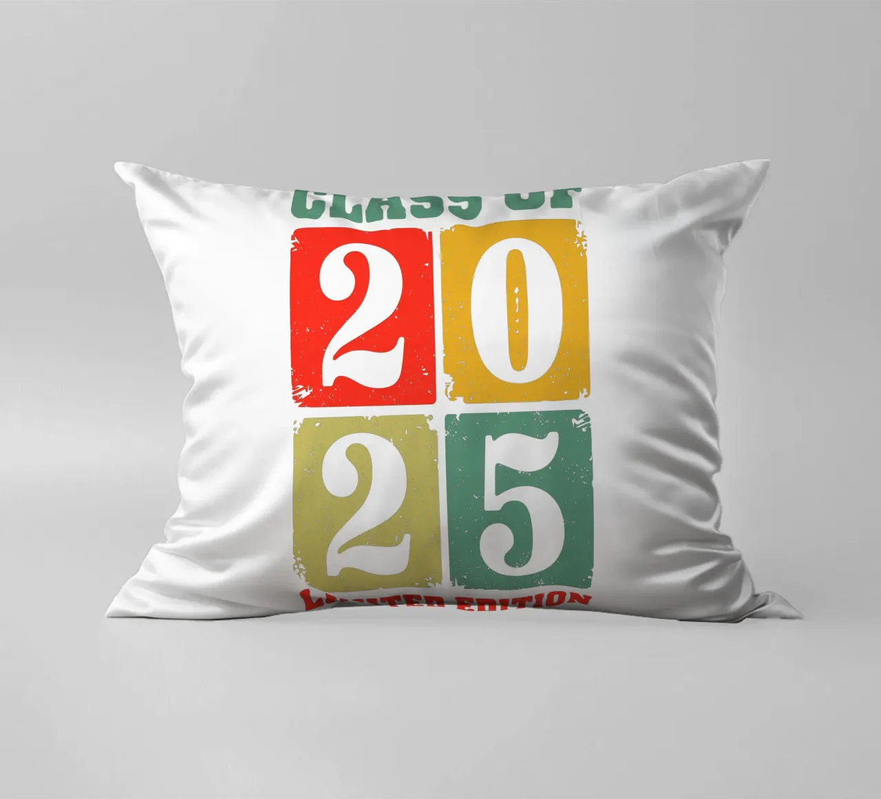 Class of 2025 Limited Edition cuscino da edsonramosart